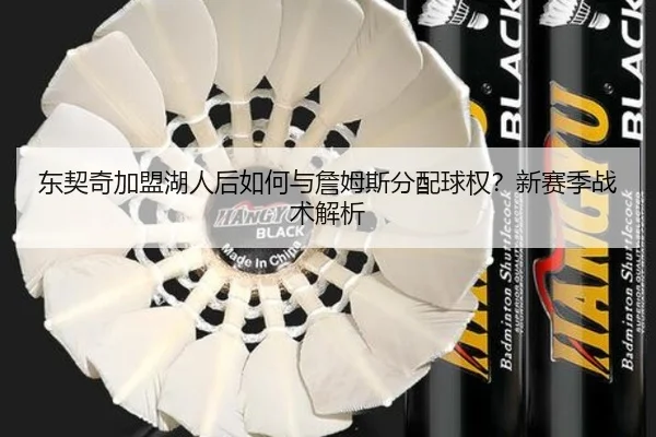 东契奇加盟湖人后如何与詹姆斯分配球权？新赛季战术解析